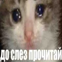 😅