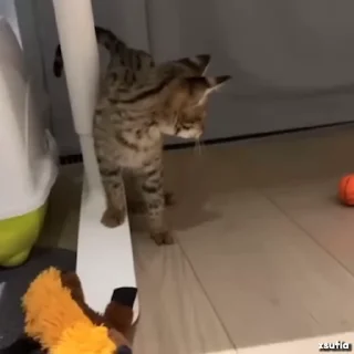 😨