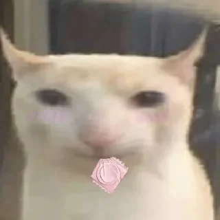 🔧