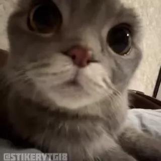 🤨