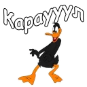 😱
