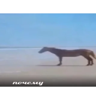 😪