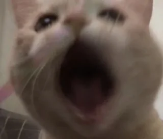 😫