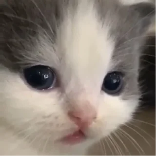 😦