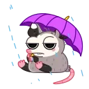 ☔️