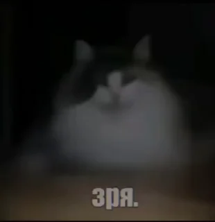 😴