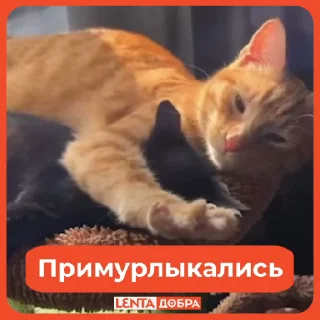 👩‍❤️‍👨