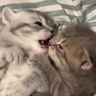 😘