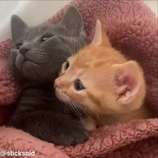 ❤️