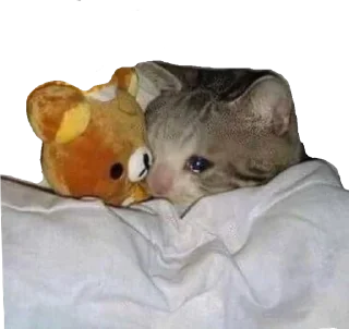😢