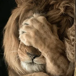 😟