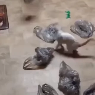🤪
