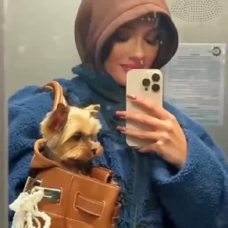 🌟