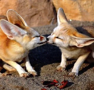 😘