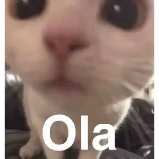 🙂