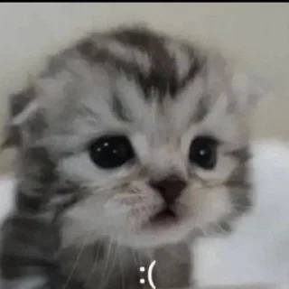 😭