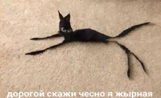 🤨