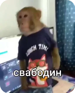 🌟