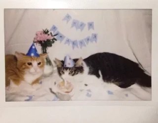 🥳