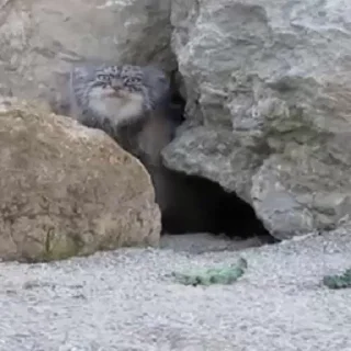 😉