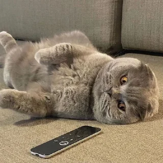 😑