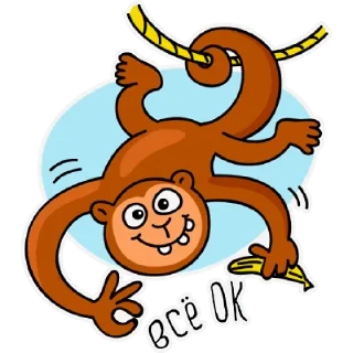 🐒