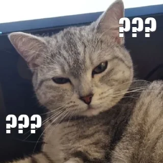 ❔