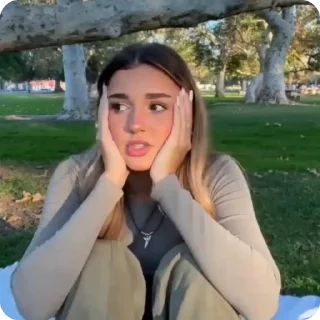🐢