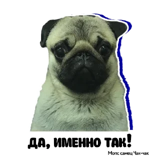 👍