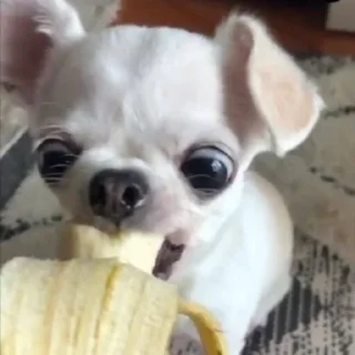 🍌