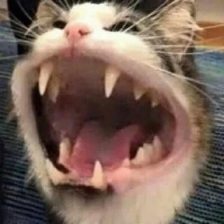 💀