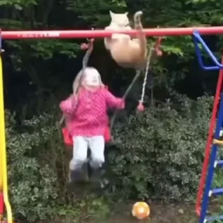🐈