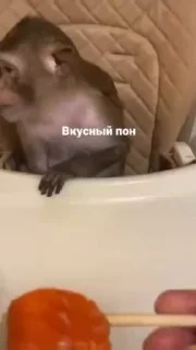 💫