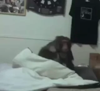 😱
