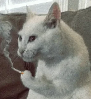 🤨