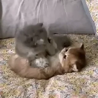 🥰