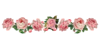 🌹