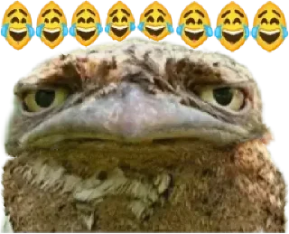 🪃
