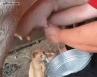 🥛