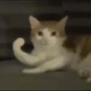 💪