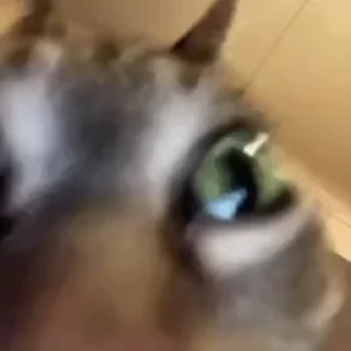 🤨