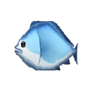 🐟