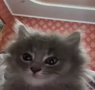 😊