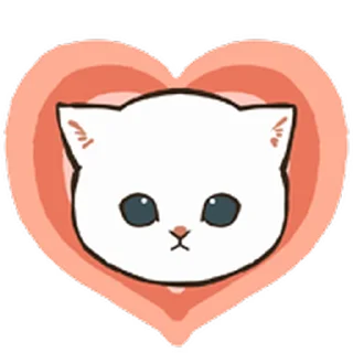 ❤️