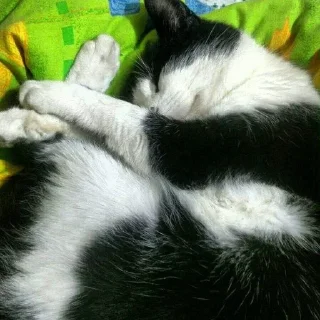 😴