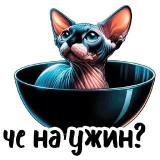 🥣