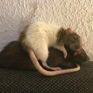❤️