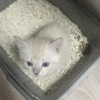 🥛