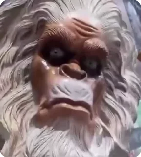 🤨