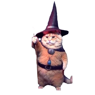 🎩